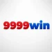 Win9999